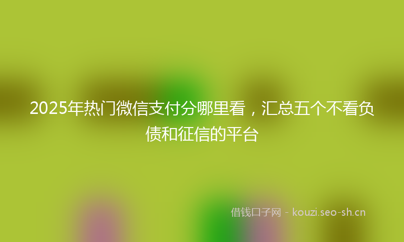 2025年热门微信支付分哪里看，汇总五个不看负债和征信的平台