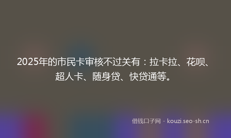 2025年的市民卡审核不过关有：拉卡拉、花呗、超人卡、随身贷、快贷通等。