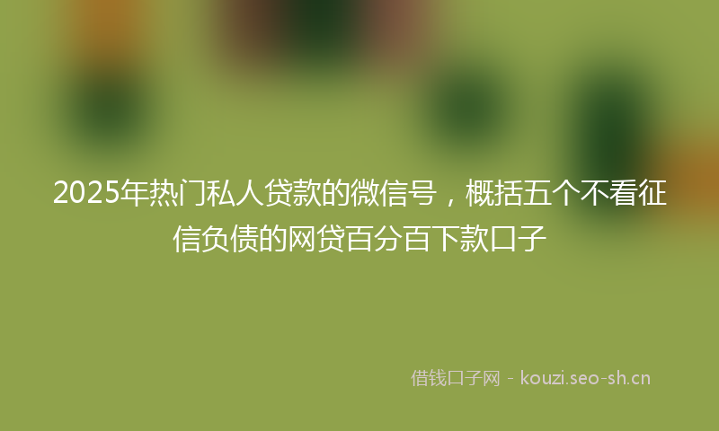 2025年热门私人贷款的微信号，概括五个不看征信负债的网贷百分百下款口子