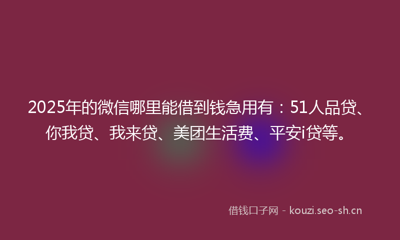 2025年的微信哪里能借到钱急用有：51人品贷、你我贷、我来贷、美团生活费、平安i贷等。