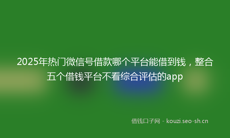 2025年热门微信号借款哪个平台能借到钱，整合五个借钱平台不看综合评估的app