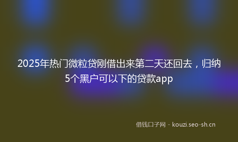 2025年热门微粒贷刚借出来第二天还回去，归纳5个黑户可以下的贷款app