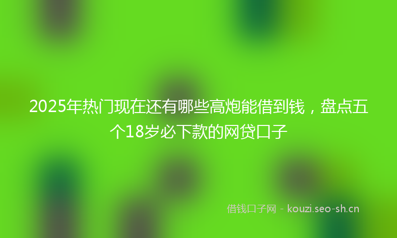 2025年热门现在还有哪些高炮能借到钱，盘点五个18岁必下款的网贷口子