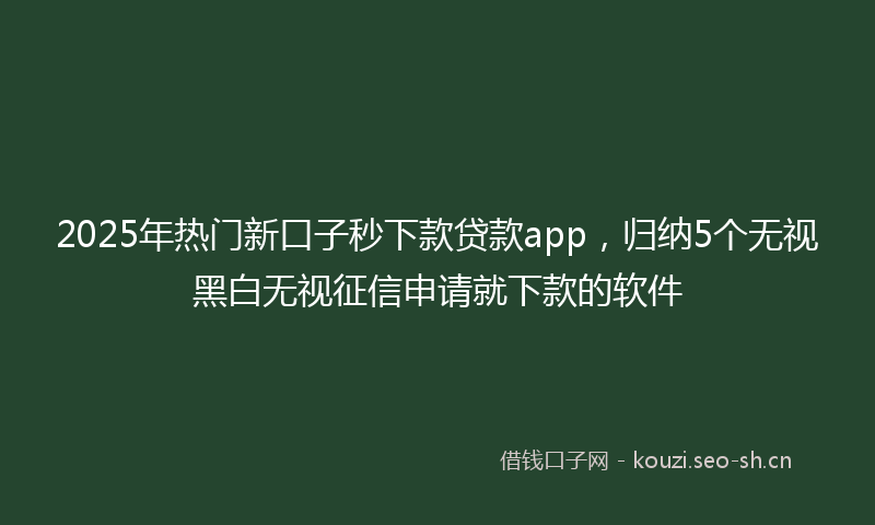 2025年热门新口子秒下款贷款app，归纳5个无视黑白无视征信申请就下款的软件