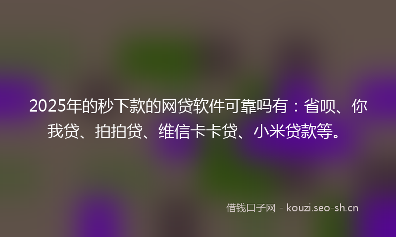 2025年的秒下款的网贷软件可靠吗有：省呗、你我贷、拍拍贷、维信卡卡贷、小米贷款等。
