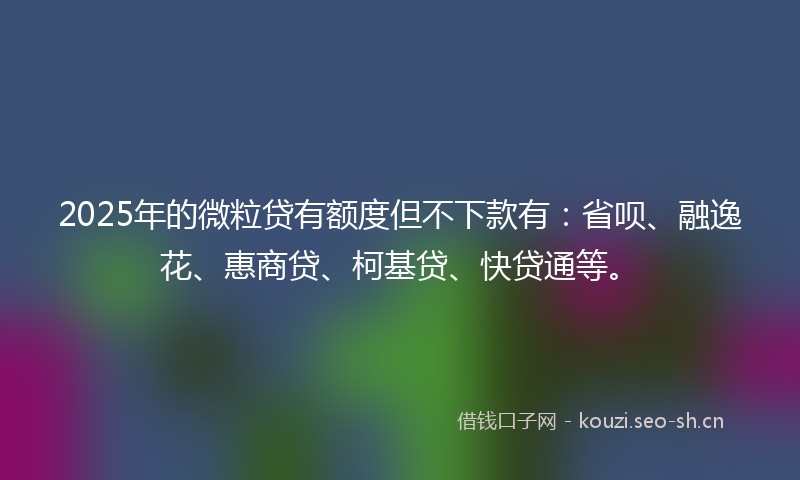 2025年的微粒贷有额度但不下款有：省呗、融逸花、惠商贷、柯基贷、快贷通等。