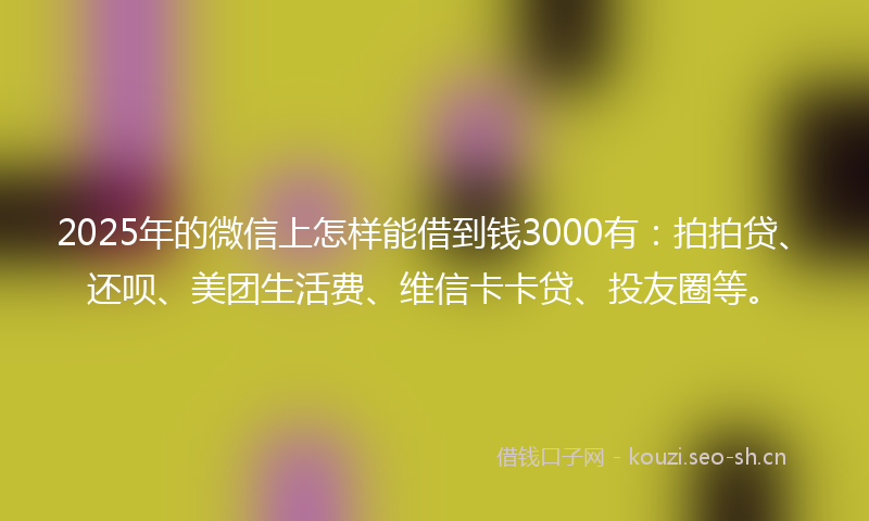 2025年的微信上怎样能借到钱3000有：拍拍贷、还呗、美团生活费、维信卡卡贷、投友圈等。