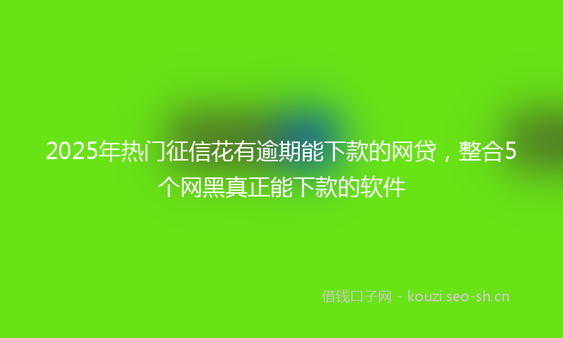 2025年热门征信花有逾期能下款的网贷,整合5个网黑真正能下款的软件