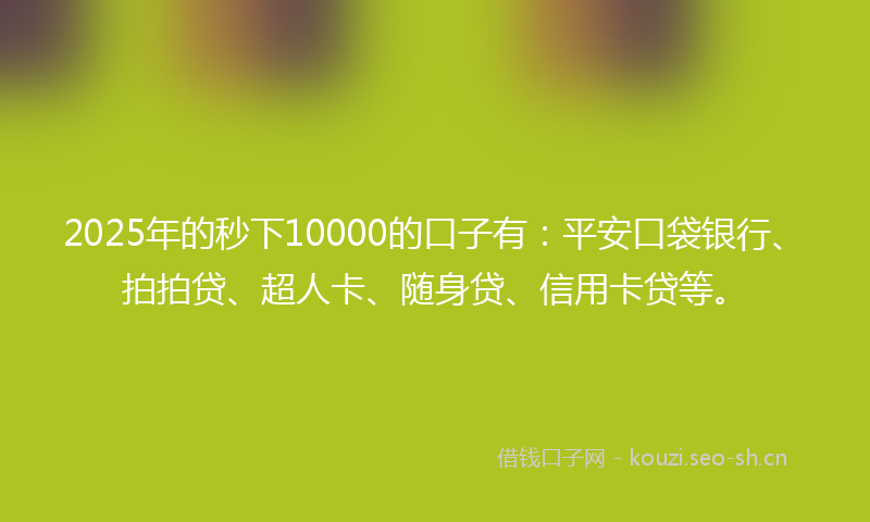 2025年的秒下10000的口子有：平安口袋银行、拍拍贷、超人卡、随身贷、信用卡贷等。