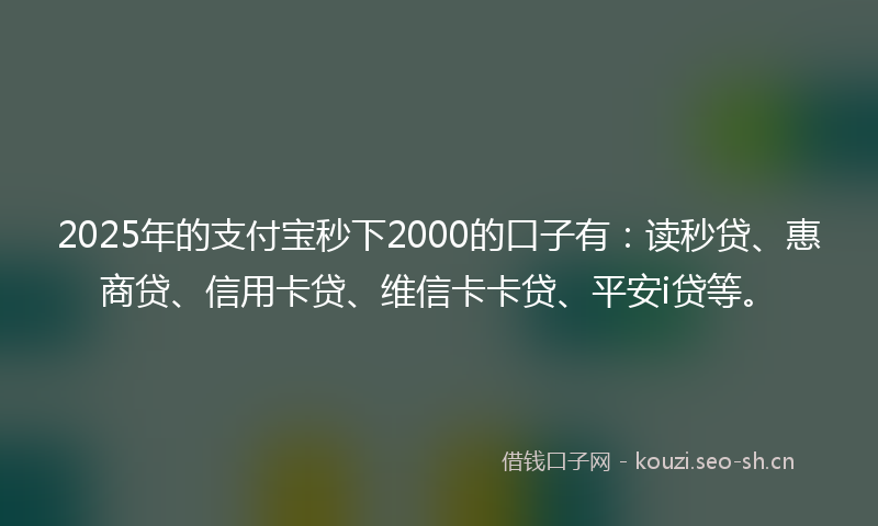 2025年的支付宝秒下2000的口子有：读秒贷、惠商贷、信用卡贷、维信卡卡贷、平安i贷等。