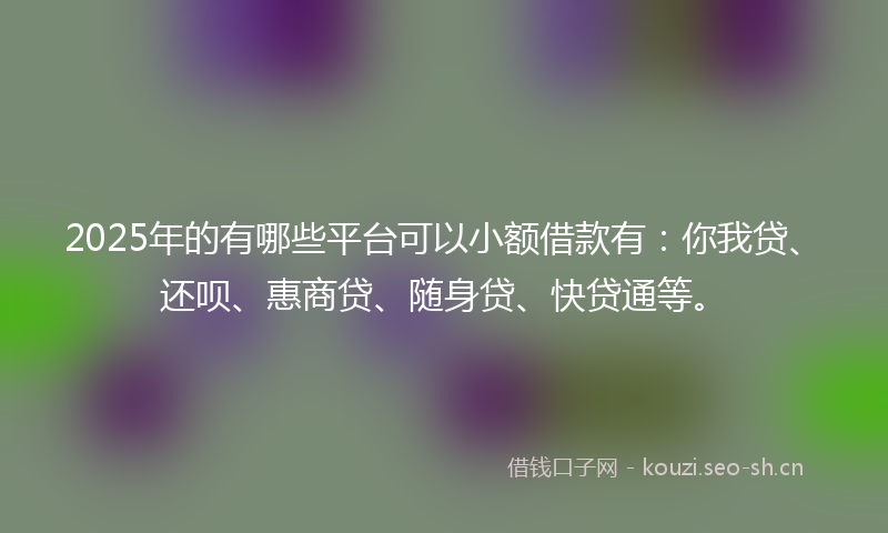 2025年的有哪些平台可以小额借款有：你我贷、还呗、惠商贷、随身贷、快贷通等。