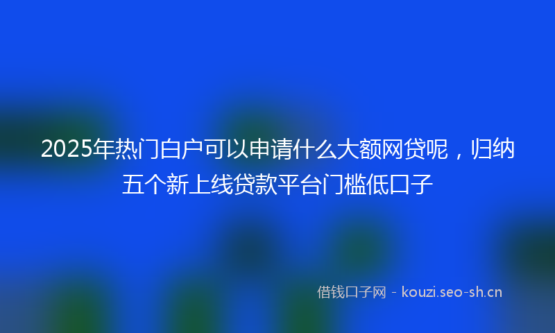 2025年热门白户可以申请什么大额网贷呢，归纳五个新上线贷款平台门槛低口子