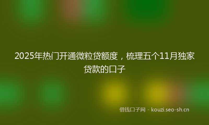 2025年热门开通微粒贷额度，梳理五个11月独家贷款的口子