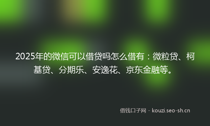 2025年的微信可以借贷吗怎么借有：微粒贷、柯基贷、分期乐、安逸花、京东金融等。
