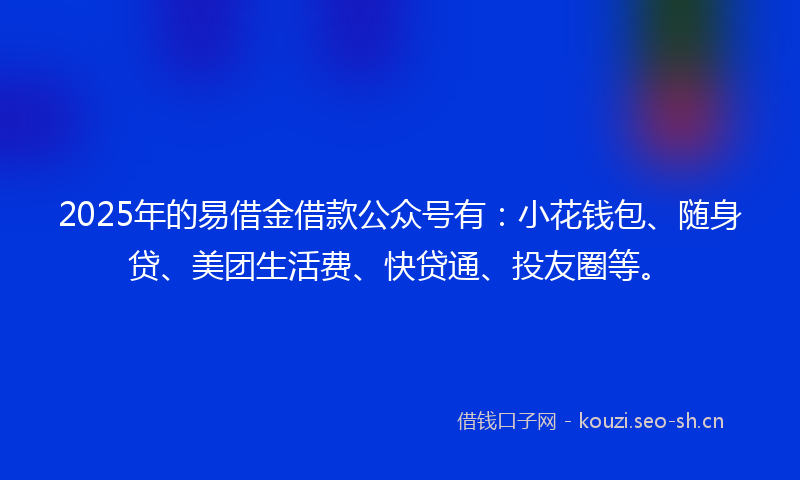 2025年的易借金借款公众号有:小花钱包、随身贷、美团生活费、快贷通、投友圈等。