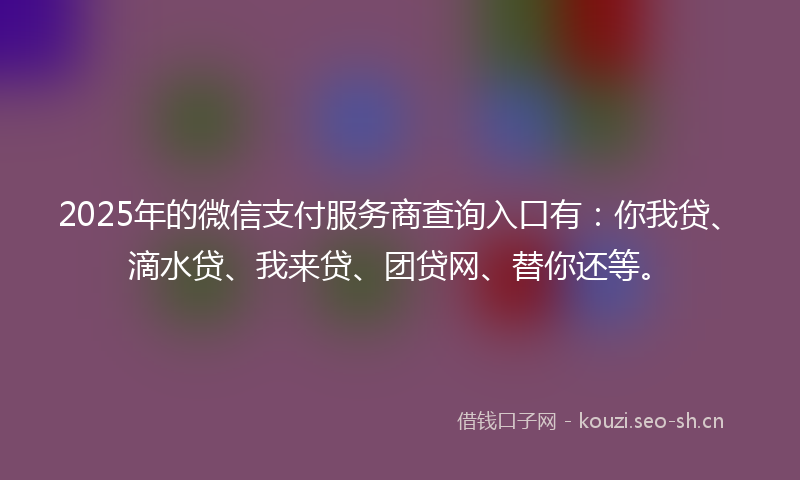 2025年的微信支付服务商查询入口有:你我贷、滴水贷、我来贷、团贷网、替你还等。