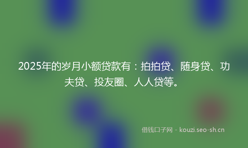 2025年的岁月小额贷款有：拍拍贷、随身贷、功夫贷、投友圈、人人贷等。