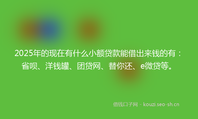 2025年的现在有什么小额贷款能借出来钱的有：省呗、洋钱罐、团贷网、替你还、e微贷等。