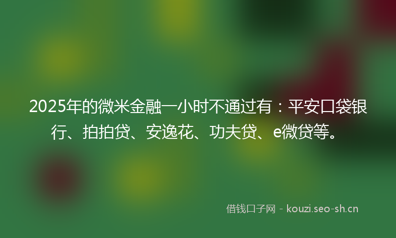 2025年的微米金融一小时不通过有：平安口袋银行、拍拍贷、安逸花、功夫贷、e微贷等。