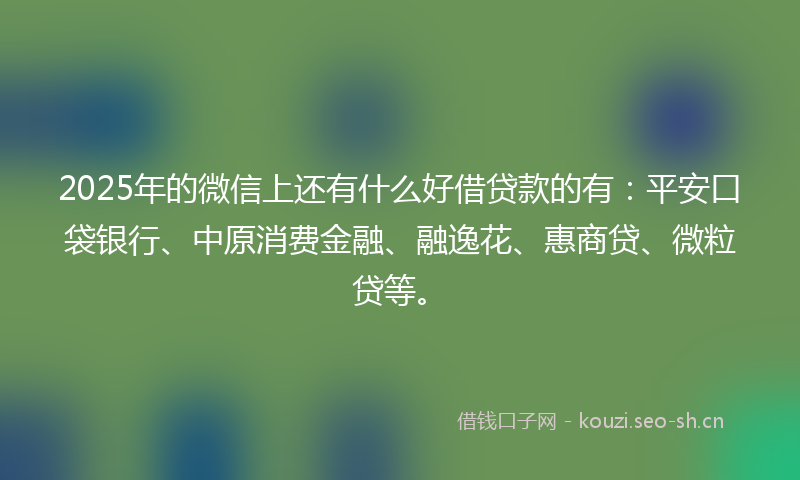 2025年的微信上还有什么好借贷款的有：平安口袋银行、中原消费金融、融逸花、惠商贷、微粒贷等。