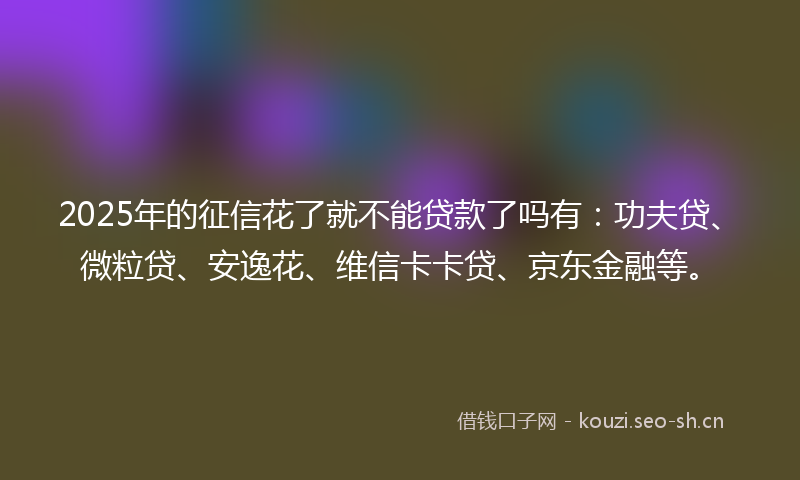 2025年的征信花了就不能贷款了吗有：功夫贷、微粒贷、安逸花、维信卡卡贷、京东金融等。