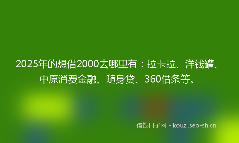 2025年的想借2000去哪里有:拉卡拉、洋钱罐、中原消费金融、随身贷、360借条等。