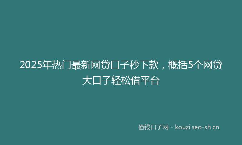 2025年热门最新网贷口子秒下款,概括5个网贷大口子轻松借平台