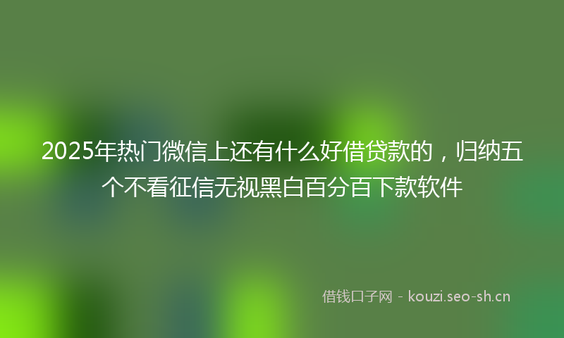 2025年热门微信上还有什么好借贷款的，归纳五个不看征信无视黑白百分百下款软件