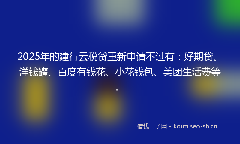2025年的建行云税贷重新申请不过有：好期贷、洋钱罐、百度有钱花、小花钱包、美团生活费等。
