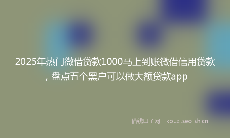 2025年热门微借贷款1000马上到账微借信用贷款，盘点五个黑户可以做大额贷款app
