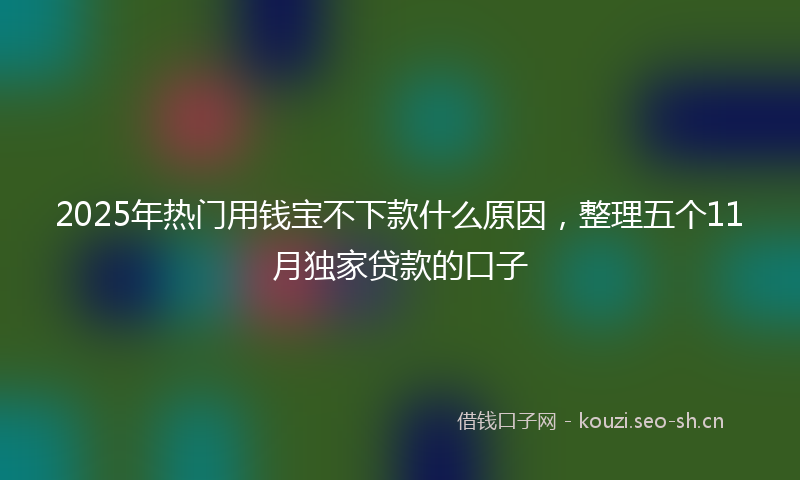 2025年热门用钱宝不下款什么原因，整理五个11月独家贷款的口子