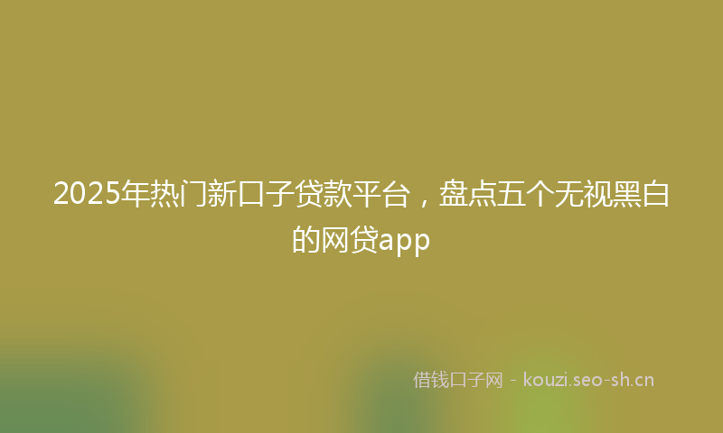2025年热门新口子贷款平台，盘点五个无视黑白的网贷app