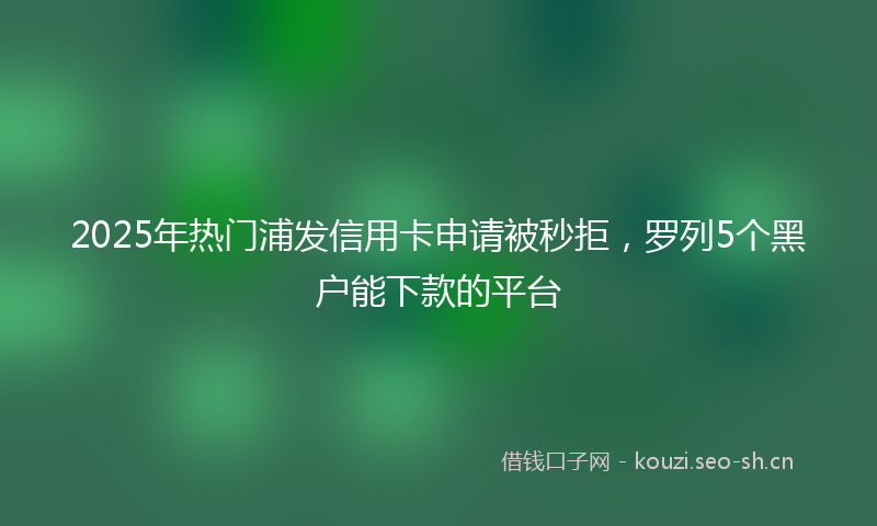 2025年热门浦发信用卡申请被秒拒，罗列5个黑户能下款的平台