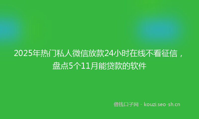 2025年热门私人微信放款24小时在线不看征信，盘点5个11月能贷款的软件