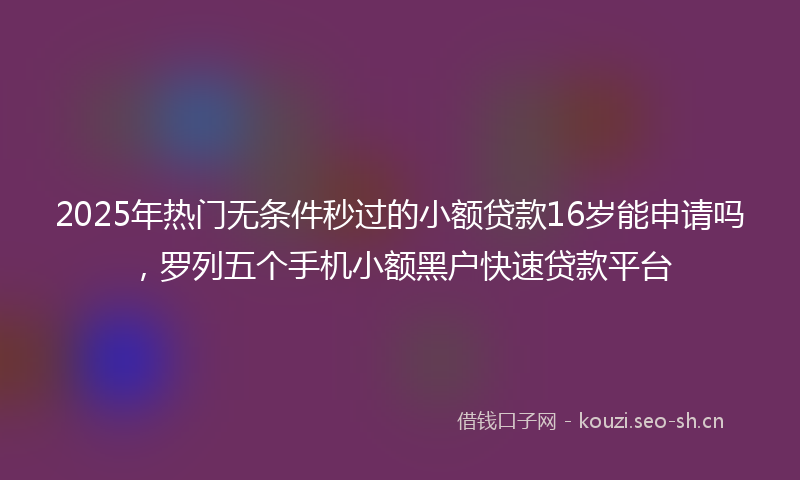 2025年热门无条件秒过的小额贷款16岁能申请吗,罗列五个手机小额黑户快速贷款平台