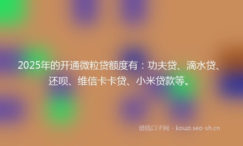 2025年的开通微粒贷额度有：功夫贷、滴水贷、还呗、维信卡卡贷、小米贷款等。