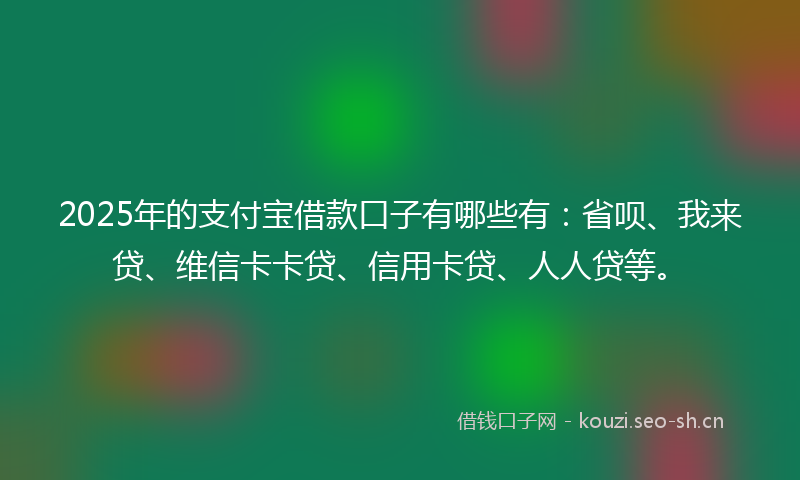 2025年的支付宝借款口子有哪些有：省呗、我来贷、维信卡卡贷、信用卡贷、人人贷等。