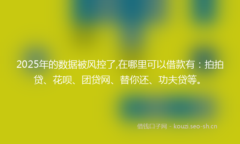 2025年的数据被风控了,在哪里可以借款有：拍拍贷、花呗、团贷网、替你还、功夫贷等。