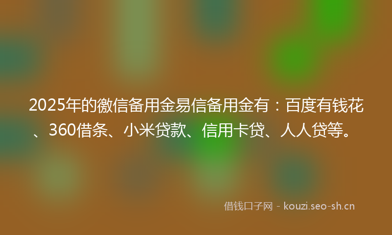 2025年的徼信备用金易信备用金有：百度有钱花、360借条、小米贷款、信用卡贷、人人贷等。