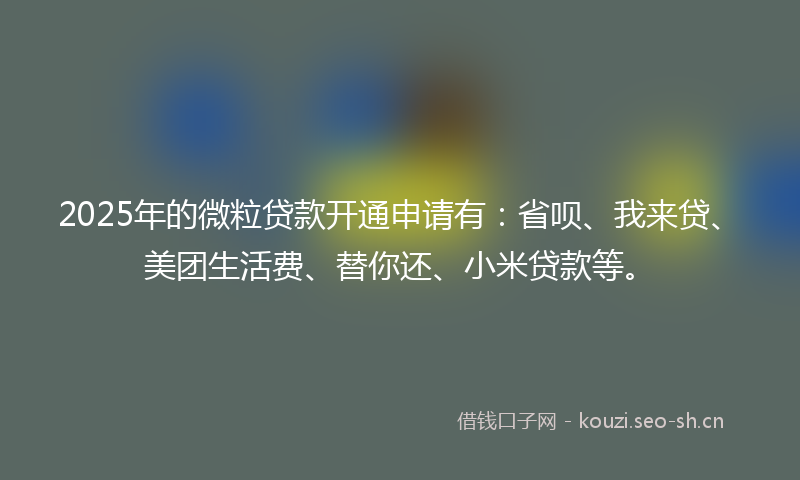 2025年的微粒贷款开通申请有：省呗、我来贷、美团生活费、替你还、小米贷款等。