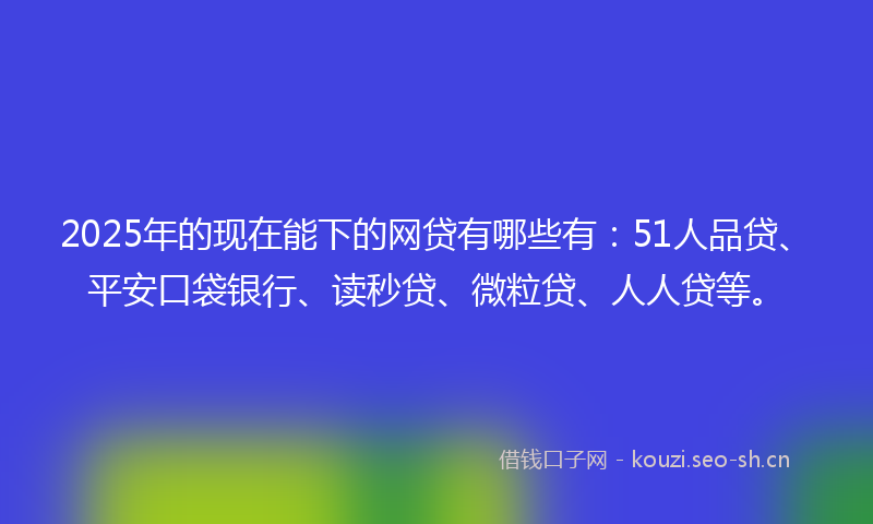 2025年的现在能下的网贷有哪些有:51人品贷、平安口袋银行、读秒贷、微粒贷、人人贷等。