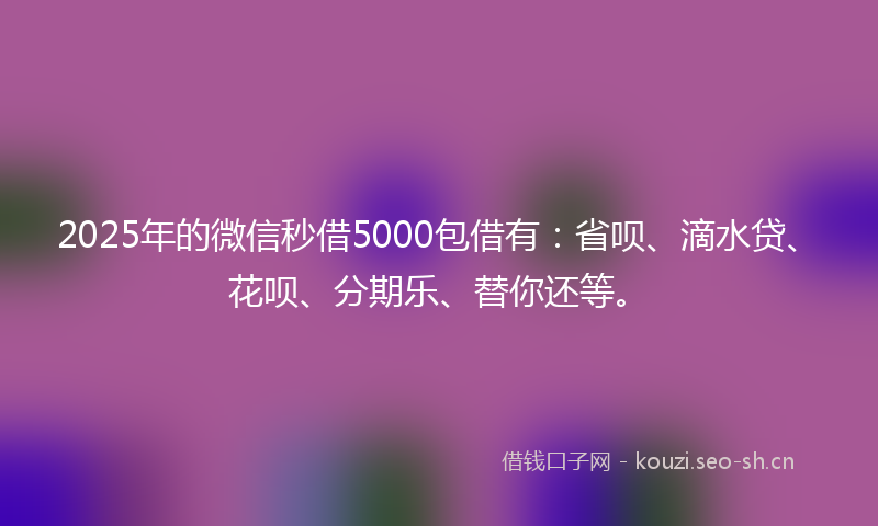 2025年的微信秒借5000包借有:省呗、滴水贷、花呗、分期乐、替你还等。
