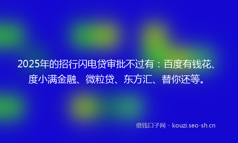 2025年的招行闪电贷审批不过有：百度有钱花、度小满金融、微粒贷、东方汇、替你还等。