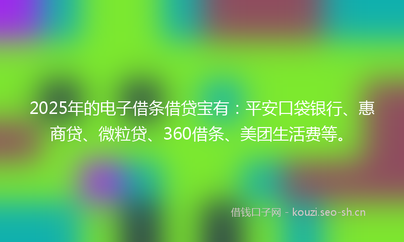 2025年的电子借条借贷宝有：平安口袋银行、惠商贷、微粒贷、360借条、美团生活费等。