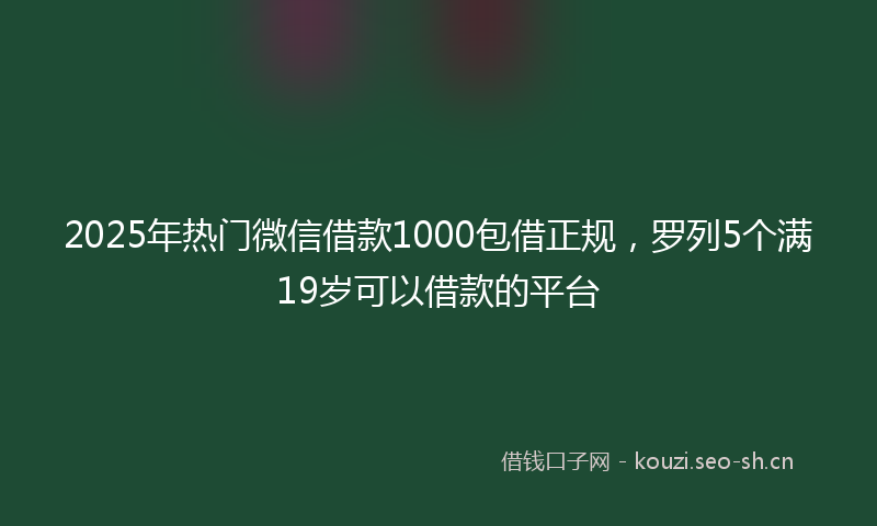 2025年热门微信借款1000包借正规，罗列5个满19岁可以借款的平台