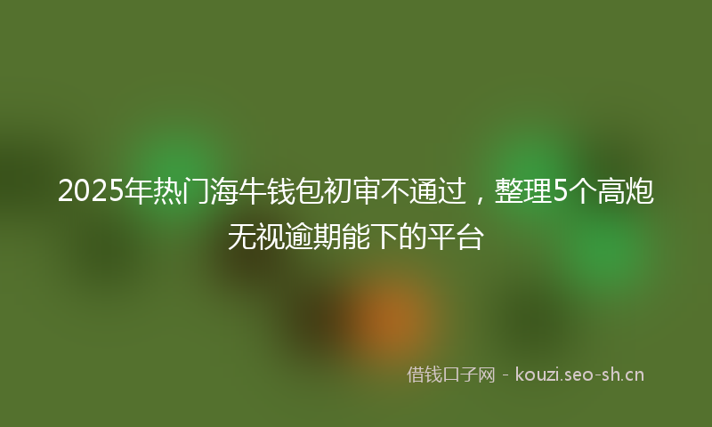 2025年热门海牛钱包初审不通过，整理5个高炮无视逾期能下的平台