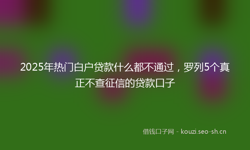 2025年热门白户贷款什么都不通过，罗列5个真正不查征信的贷款口子