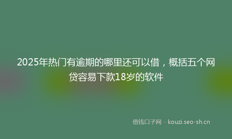 2025年热门有逾期的哪里还可以借，概括五个网贷容易下款18岁的软件