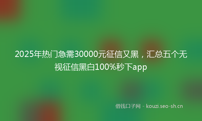 2025年热门急需30000元征信又黑，汇总五个无视征信黑白100%秒下app