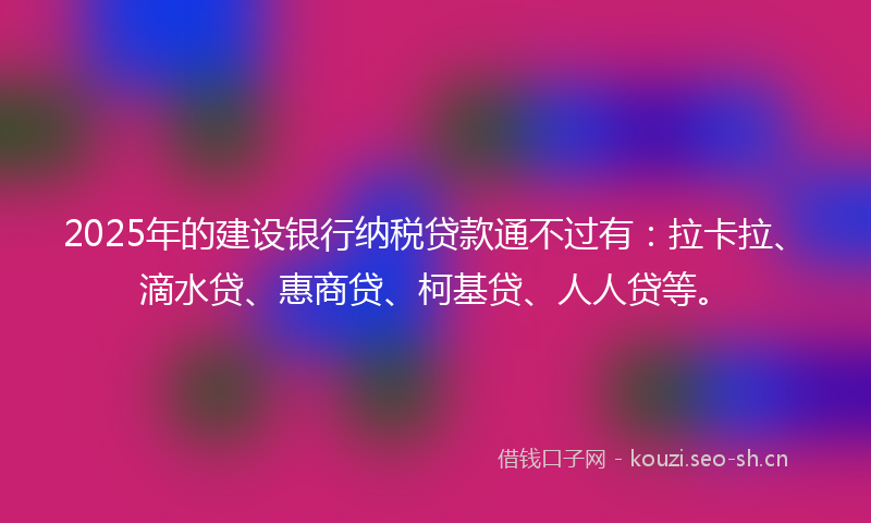 2025年的建设银行纳税贷款通不过有：拉卡拉、滴水贷、惠商贷、柯基贷、人人贷等。